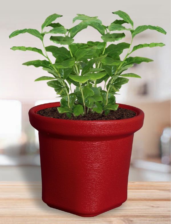 Round Nova Plastic Pot, for Outdoor Use Indoor Use, Feature : Dust Free, Hard Structure, Long Life