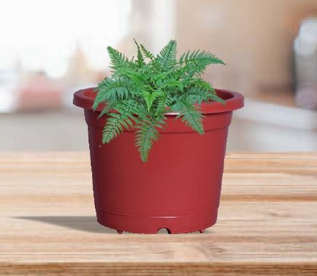 Nursery Plastic Planter, Feature : Dust Free, Easy To Placed