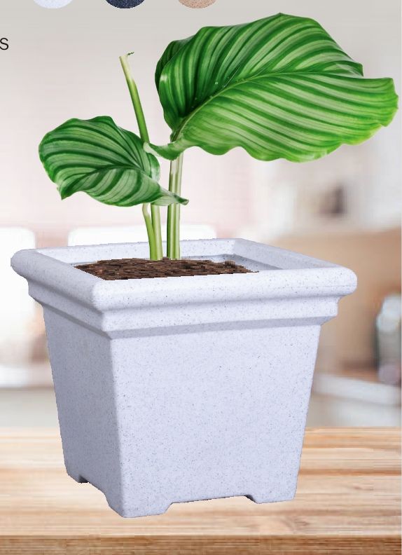 Square Roto Dino Plastic Pot, for Planting, Feature : Dust Free, Eco Friendly