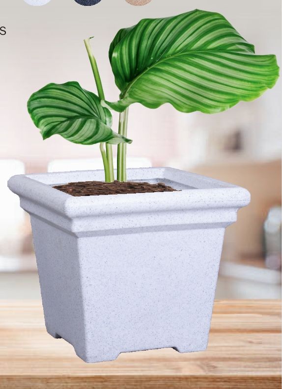 Roto Dino Plastic Pot