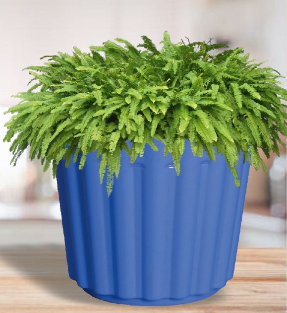Round Slofy Plastic Pot, for Planting, Feature : Attractive Pattern, Hard Structure, Long Life