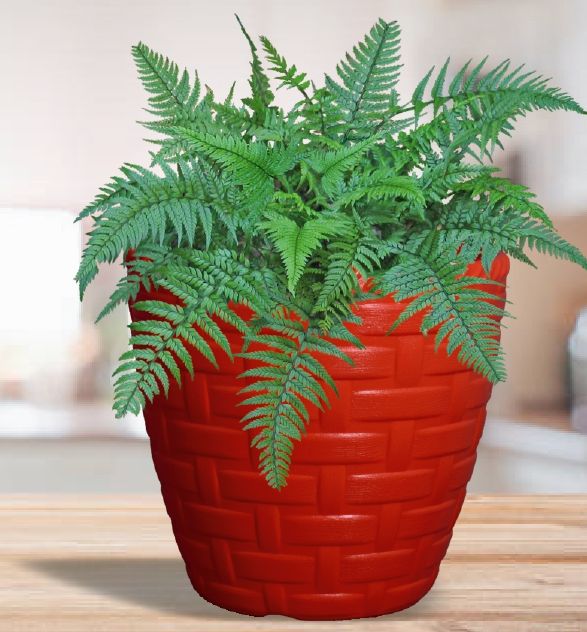 Round Star Plastic Pot, for Planting, Feature : Attractive Pattern, Hard Structure, Long Life