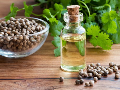 Organic Coriander Essential Oil, Shelf Life : 6months