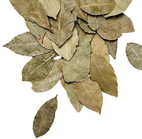 Organic Dried Bay Leaves, Packaging Type : Plastic Box