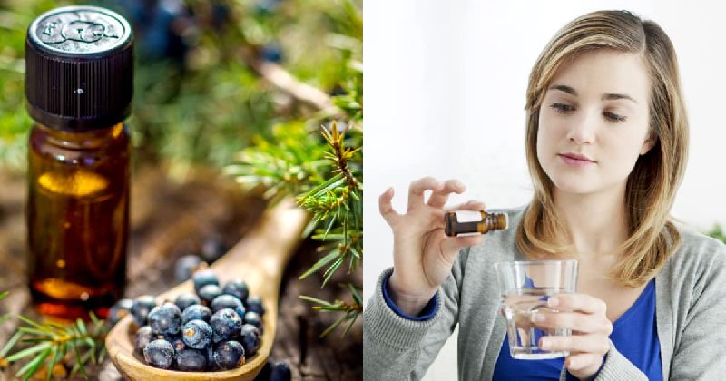 Organic Juniper Berry Essential Oil, for Cosmetic Uses, Medical Uses, Grade : Pharma