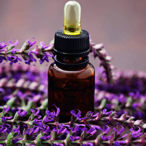 Organic Sage Essential Oil, for Cosmetics, Medicines, Packaging Type : Glass Bottle