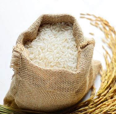 Organic Sugandha Basmati Rice, for High In Protein, Variety : Long Grain
