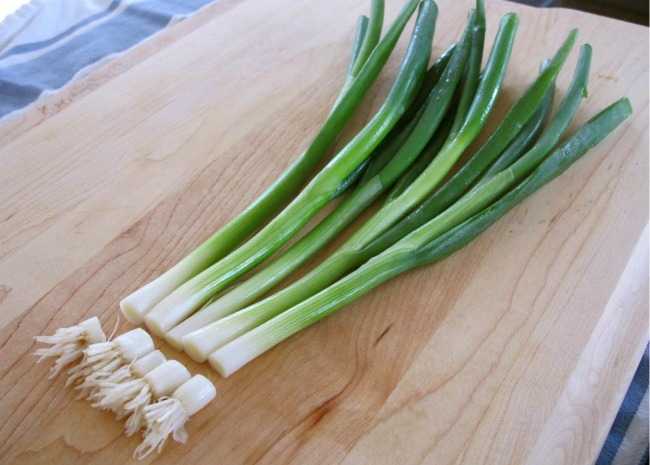 Organic Fresh Green Onion, for Enhance The Flavour, Feature : High Quality, Hygienic, Natural Taste