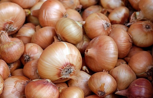 Fresh Yellow Onion, Shelf Life : 15-30days