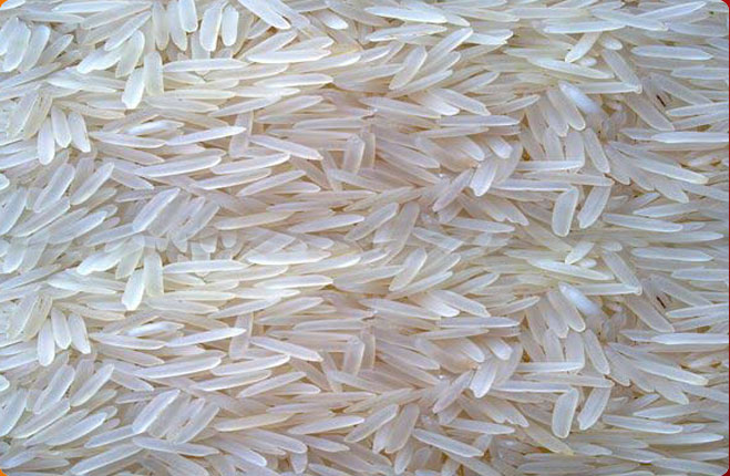 IR 36 Non Basmati Rice, Packaging Type : Jute Bags