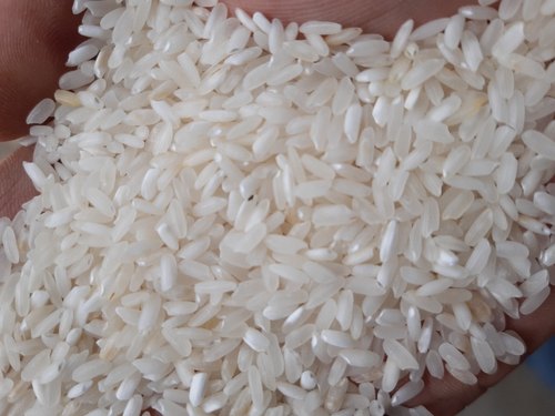 Swarna Masoori Non Basmati Rice, for Human Consumption., Variety : Medium Grain