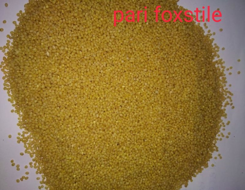 Fine Processed Natural foxtail millet, for Cooking, Variety : Hulled