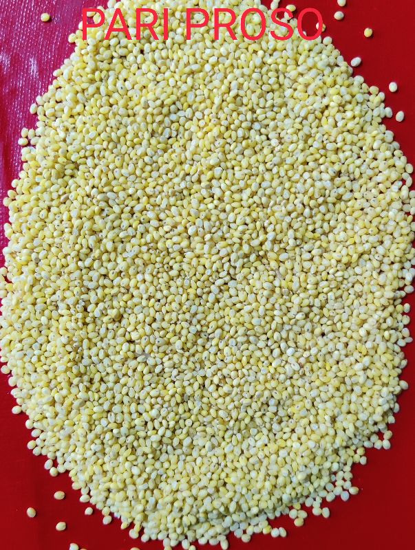 Fine Processed Natural Millet proso, for Cooking, Variety : Hulled