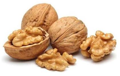 Dried Walnut, for Oil, Human Consumption, Packaging Type : Plastic Packat