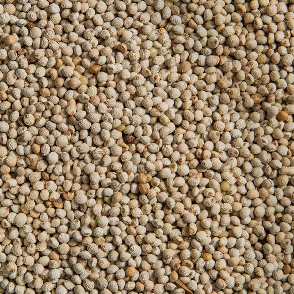 Natural Perilla Seeds, for Food Flavoring, Medicine, Packaging Type : PP Packets