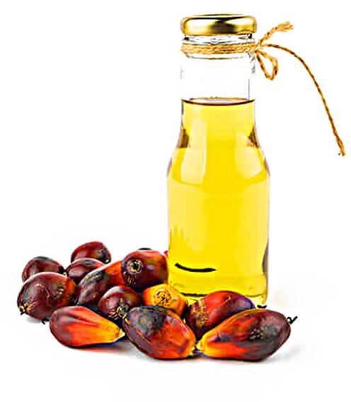 refined palm oil