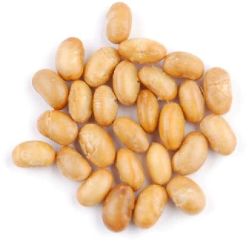 Soy Nuts, for High In Protein, Feature : Hygienically Processed, Longer Shelf Life