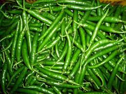 Natural Fresh Green Chilies, for Human Consumption, Cooking, Home, Hotels, Packaging Size : 5kg