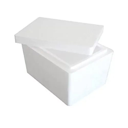 Thermocol Ice Box At Best Price In Vadodara | Anand Packaging