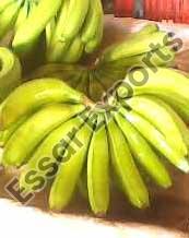 Organic fresh banana, Feature : Absolutely Delicious, Easily Affordable, High Value