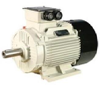 TEFC Motor, Power : 10-200 KW
