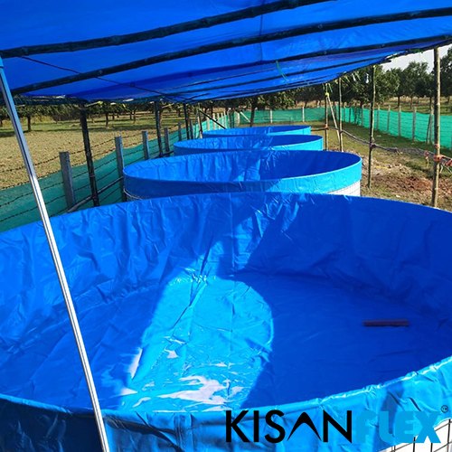 Kisan Flex PVC biofloc fish farming tank, Size : 2 Mtr (Dia)