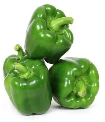 Oval Natural green capsicum, for Cooking, Style : Fresh