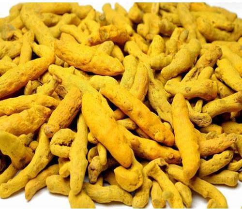 Unpolished Raw Natural turmeric finger, for Spices, Certification : FSSAI Certified