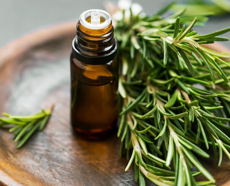 Leaves rosemary essential oil, Feature : Hygienically Packed