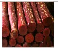 red sandalwood