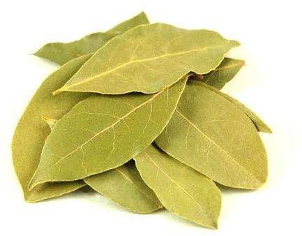 Organic Dried Bay Leaves, Color : Pale Yellow