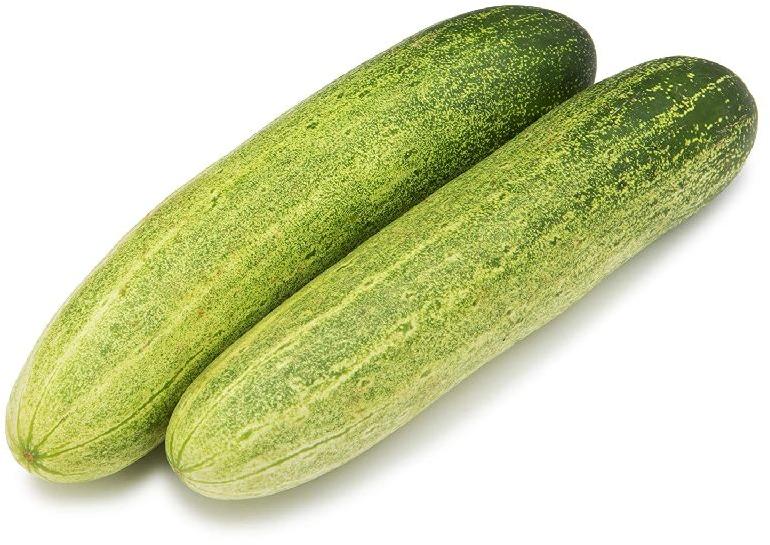 Organic Fresh Cucumber,fresh cucumber, for Good Nutritions, Good Health, Packaging Type : Plastic Packet