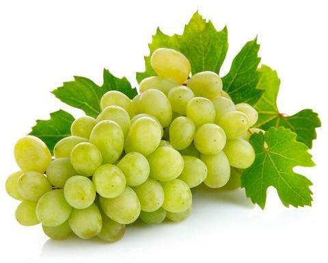 Organic Fresh Green Grapes, Specialities : Good For Nutritions, Good For Health