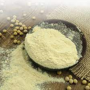 Soya Lecithin Powder Non GMO (Food Grade) at Best Price in Nagpur ...