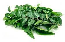 Fresh Curry Leaves, for Cooking, Color : Green