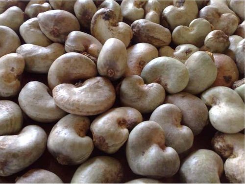 Organic raw cashew nuts, Packaging Size : 1kg, 2kg