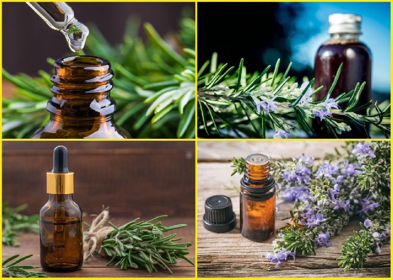 Rosemary Oil