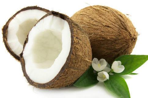 Semi Husked Organic fresh coconut, Shelf Life : 3 Months