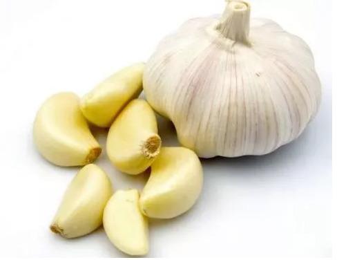 Natural fresh garlic, for Human Consumption, Oil Extraction, Packaging Type : Gunny Bags