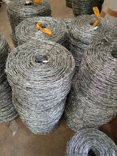 Galvanized Iron Barbed Wire, Length : 6 M