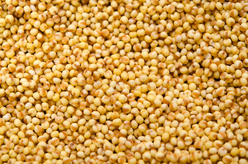 Common Natural Foxtail Millet, for Cooking, Variety : Dried