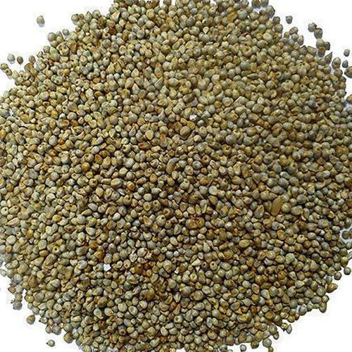 Organic Bajra Seeds, Variety : Hybrid