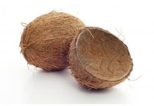 Coconut Shell Halves, Shelf Life : 6 Months