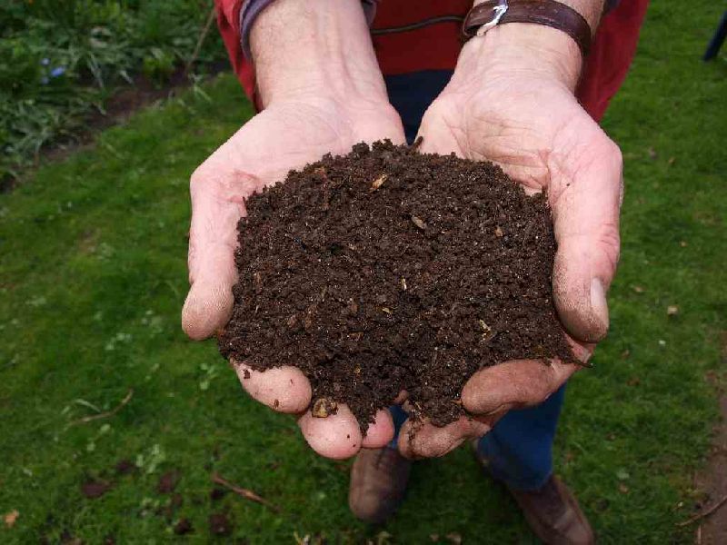 organic manure