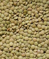 Natural Green Lentils, for Cooking, Feature : Healthy To Eat