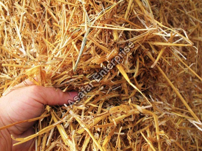 wheat straw, Size Mixed Hay at Rs 10,000 / Tons in Bangalore Asafar
