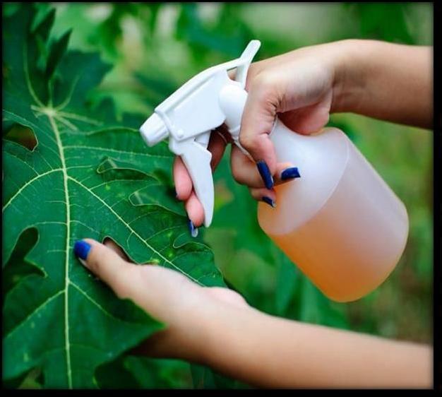 Organic Fertilizer Spray, for Agriculture, Purity : 100%