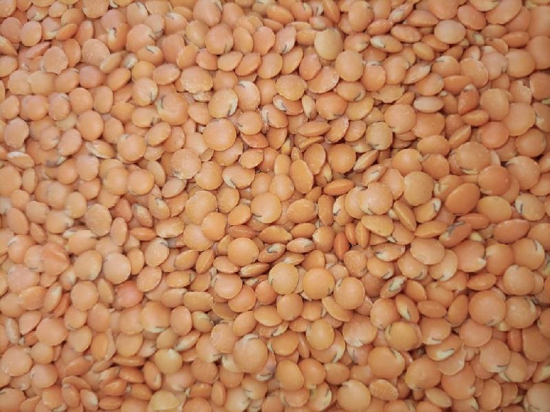 red masoor dal