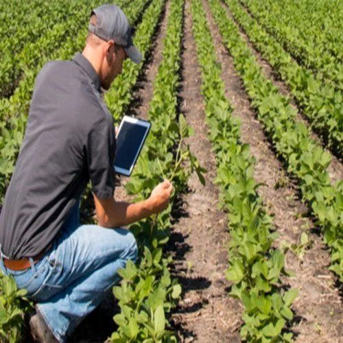 Agricultural Producers Cooperative Marketing Society Tender Information