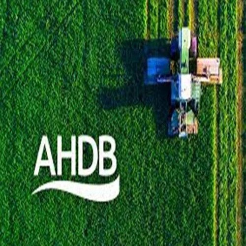 Agriculture and Horticulture Board Tender Information